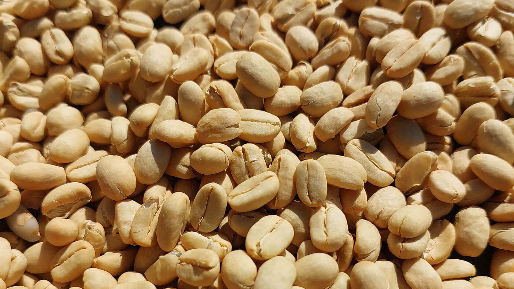 Gains de café d'Éthiopie