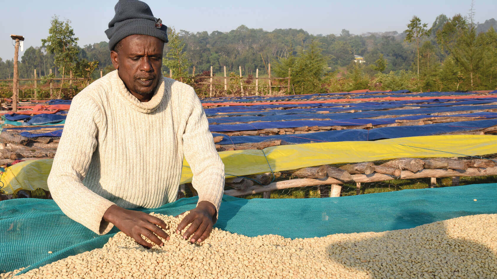 Le producteur Mustafa Mohamed Ali en Éthiopie