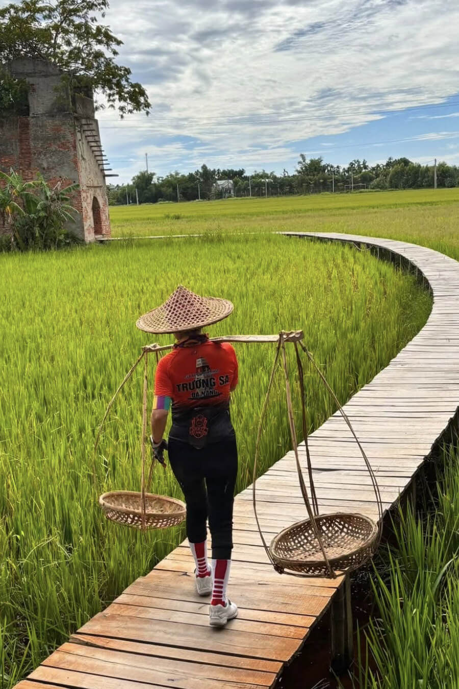 Rizière au Vietnam