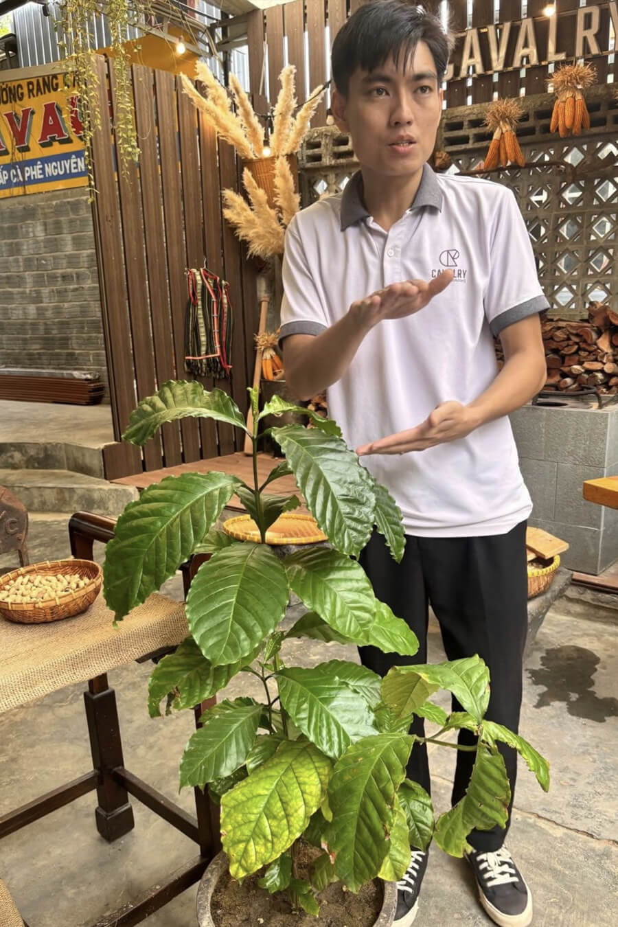 rencontre avec un torréfacteur vietnamien