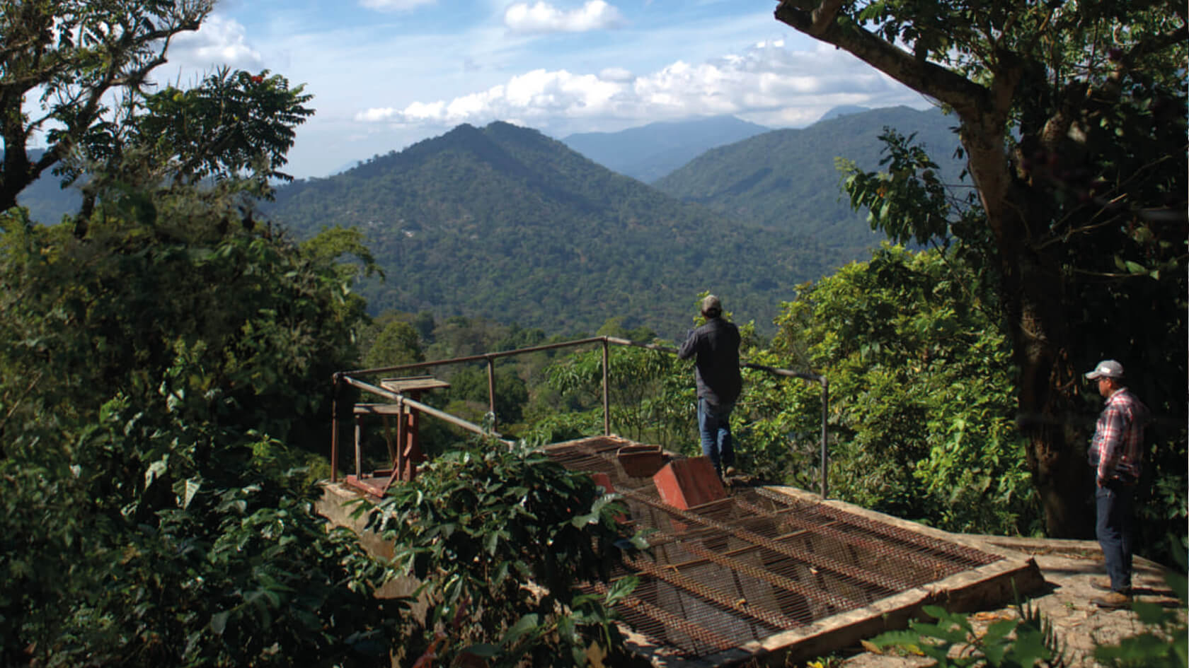 Vue sur la plantation au Chiapas, Mexique